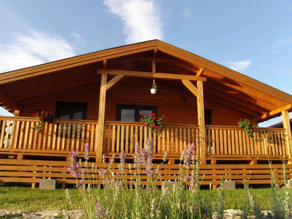 Complex Agroturistic Livada De Nuci Villa Baia de Fier Eksteriør billede