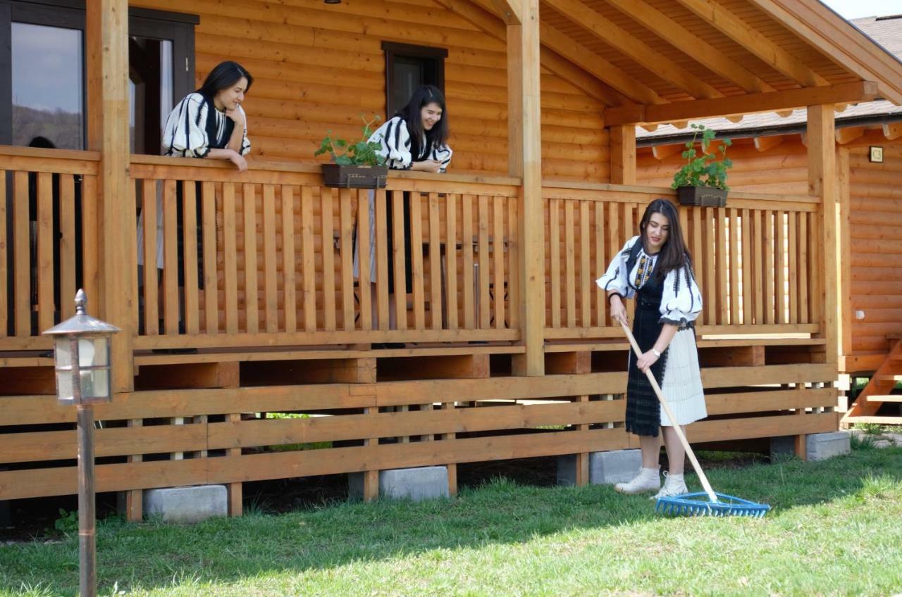 Complex Agroturistic Livada De Nuci Villa Baia de Fier Eksteriør billede