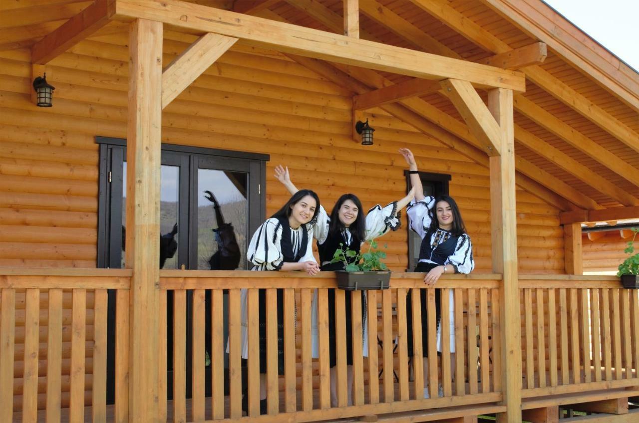 Complex Agroturistic Livada De Nuci Villa Baia de Fier Eksteriør billede