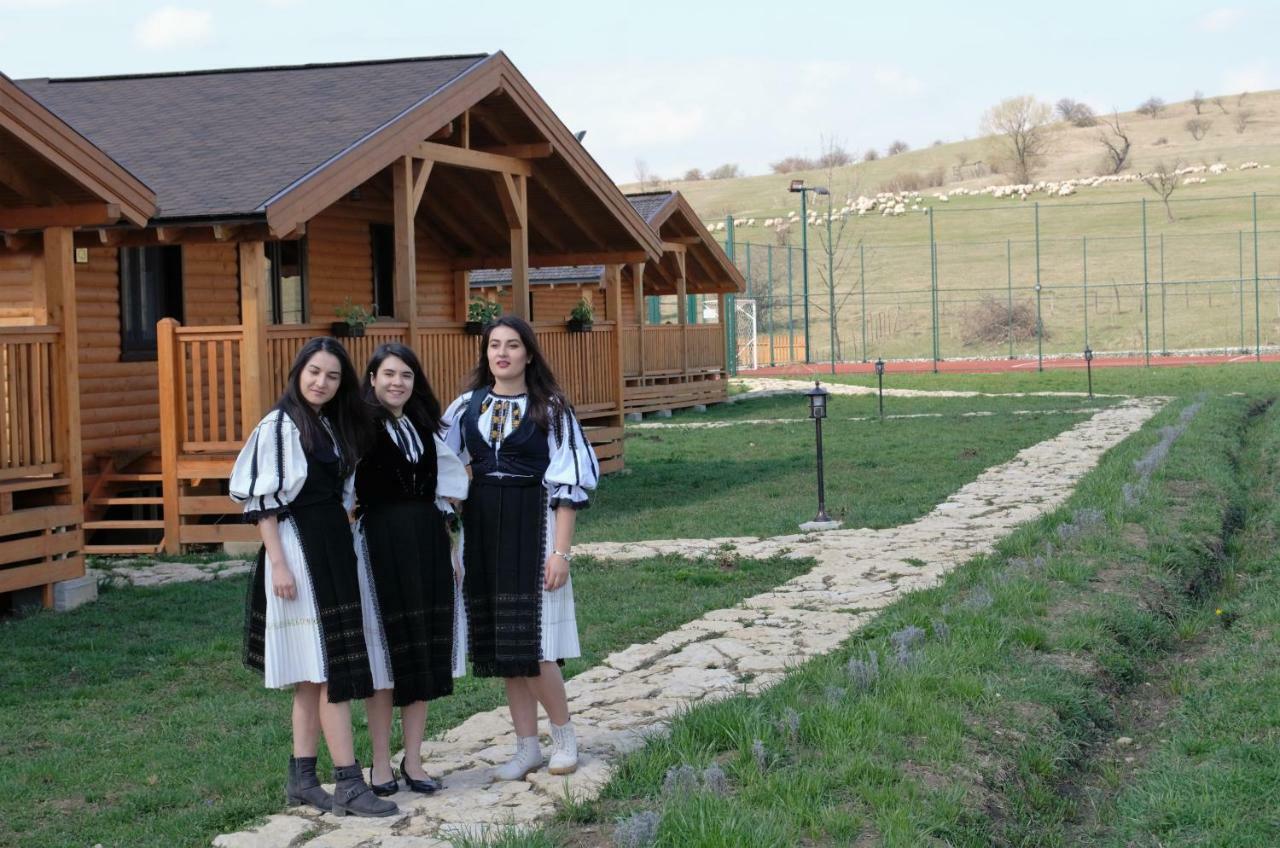 Complex Agroturistic Livada De Nuci Villa Baia de Fier Eksteriør billede